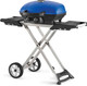 grilled angled