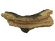 Log Assembly (LOGS-8000CLX) Image 6