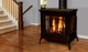 Berkeley gas stove in living room