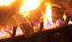 log set burning on grate