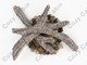 Driftwood Log and rocks