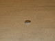 Magnet (50-2413) Image 2