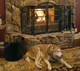 fireplace with screen, tool set and log bucket. A dog laying in front.
