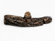 Escape Series Replacement Log #7 (SRV2012-087) Image 1