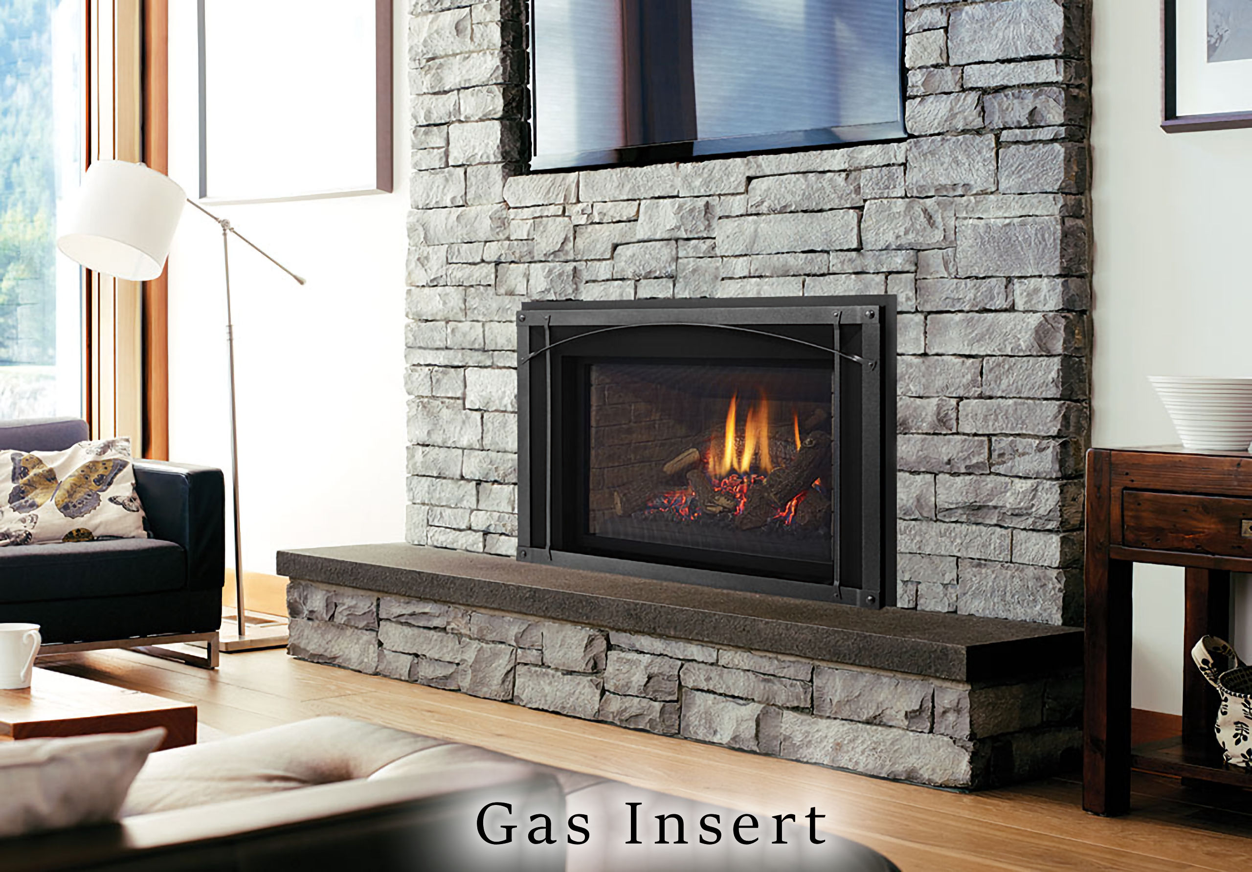 Liberty Gas Insert