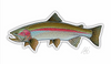 Casey Underwood Fish Decal - Rainbow Trout