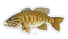 Casey Underwood Fish Decal - Smallmouth Bass