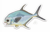 Casey Underwood Fish Decal - Permit