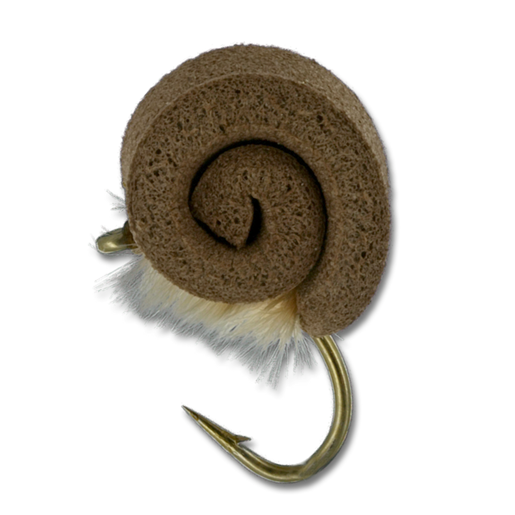 King’s Snail at The Fly Shop