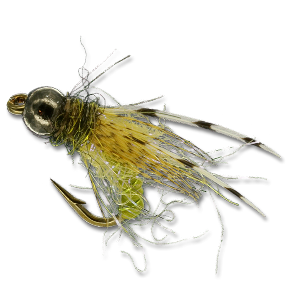 OCD Caddis at The Fly Shop