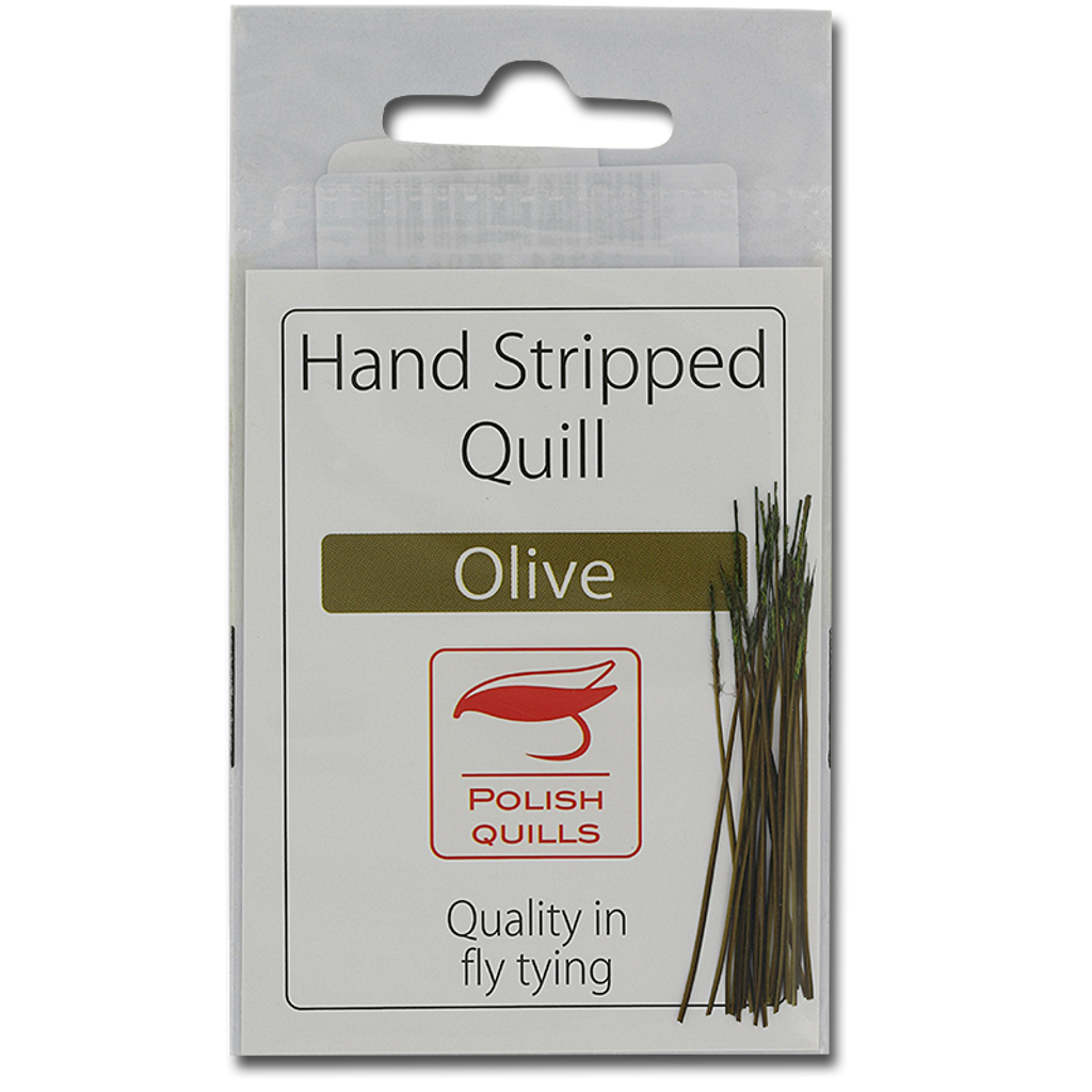 Stripped Peacock Quills - Olive