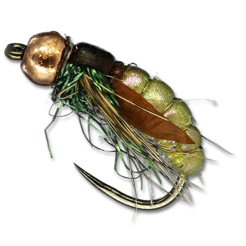 Caddis Pupa & Larva at The Fly Shop