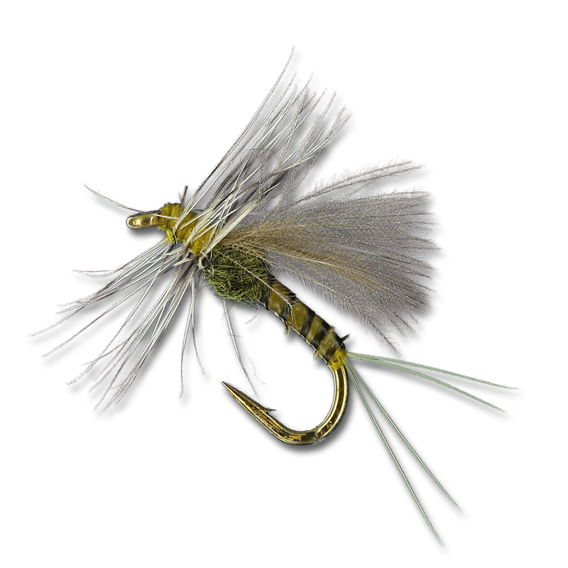 Shot Glass Baetis at The Fly Shop