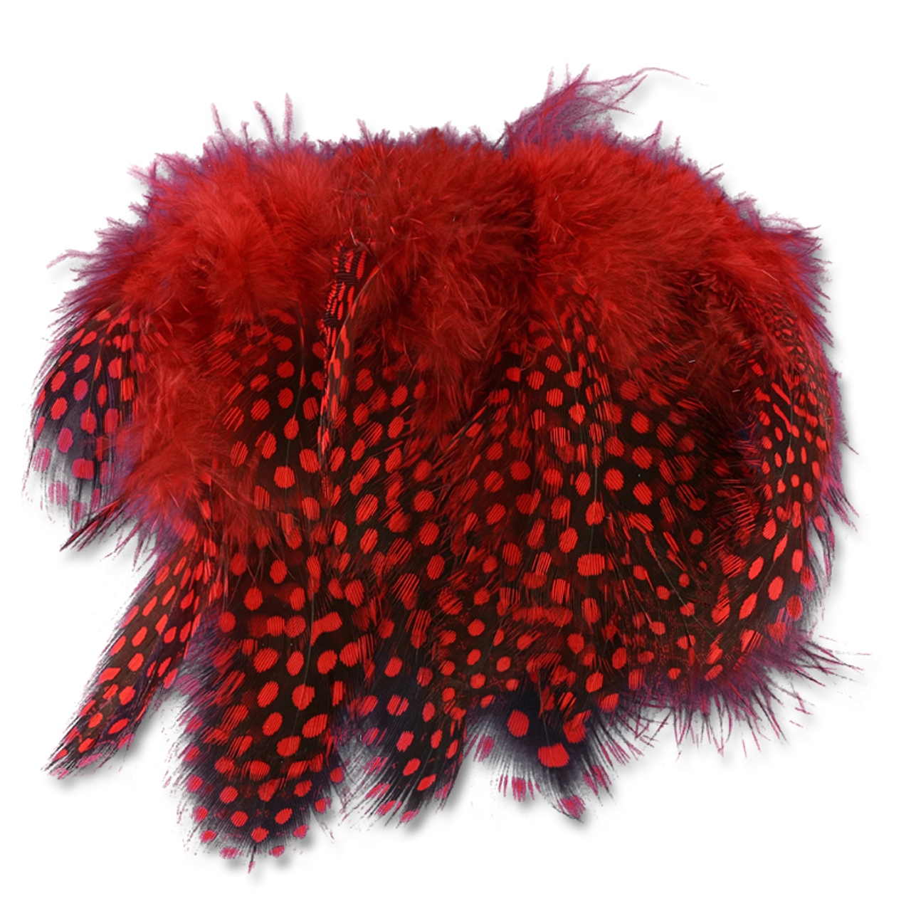 Select Guinea Body Feathers - Red