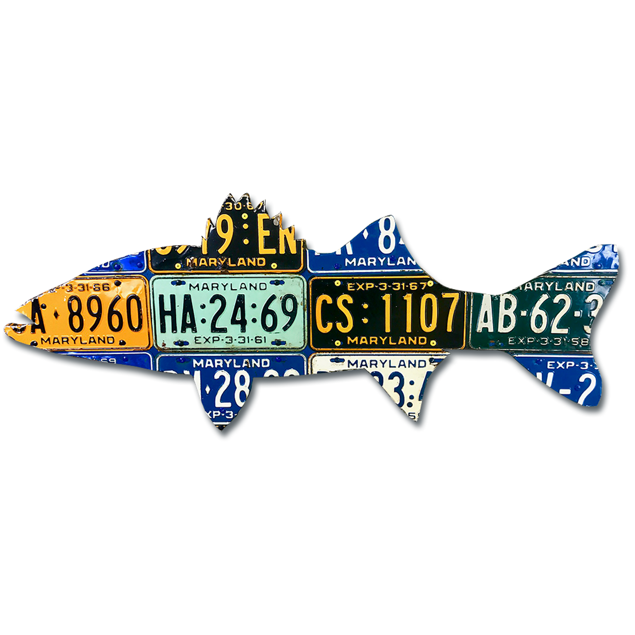 Maryland Striped Bass License Plate Art