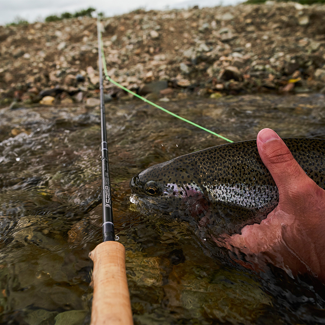 Sage R8 Core Series Fly Rod