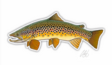 Casey Underwood Fish Decal - Brown Trout