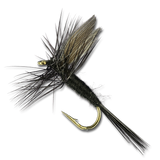 Black Gnat - #16