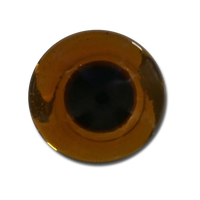 The Fly Shop's Glass Taxi Eyes - Amber