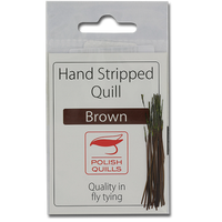 Stripped Peacock Quills - Brown