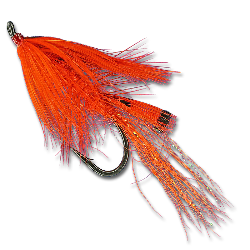 General Practitioner At The Fly Shop