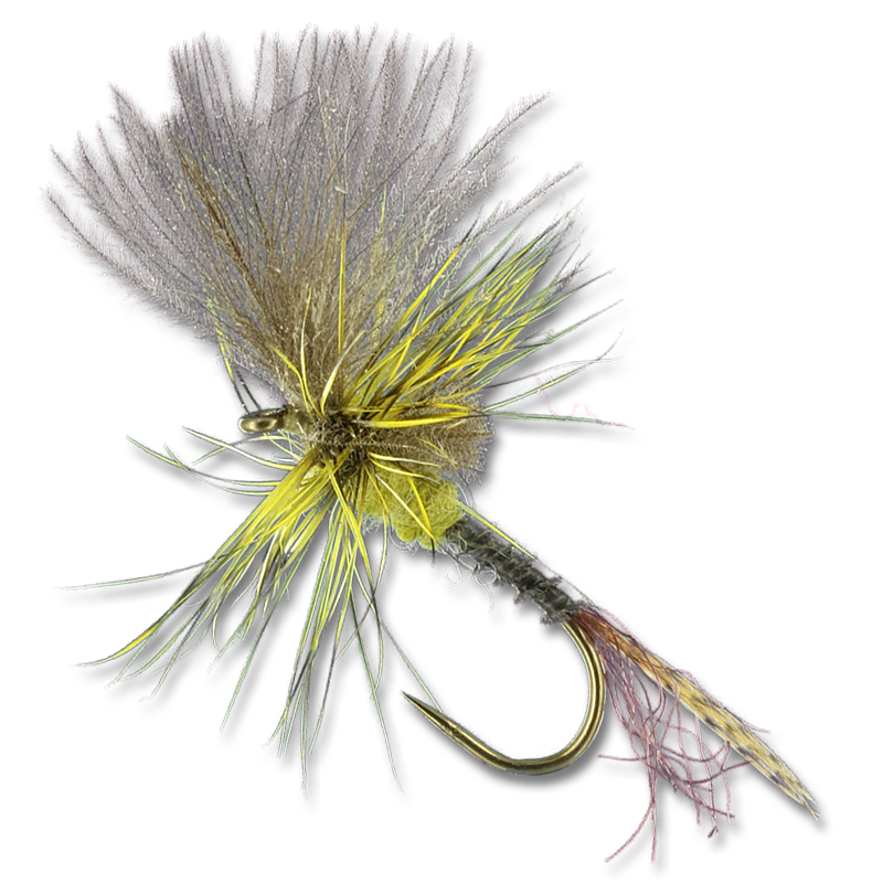 last chance bait and tackle