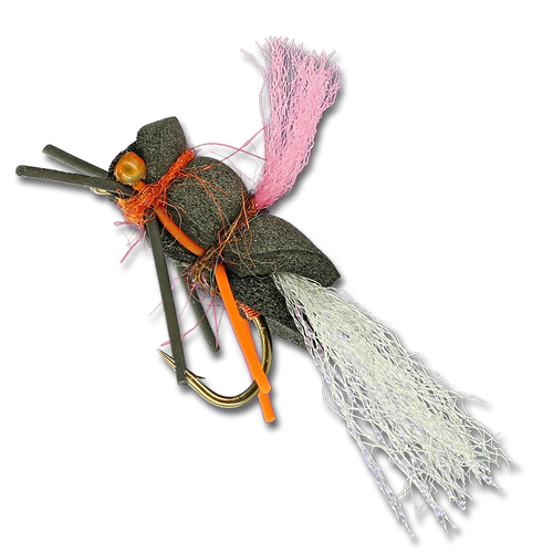 Pit Boss Cicada
