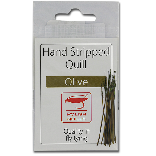 Stripped Peacock Quills - Olive