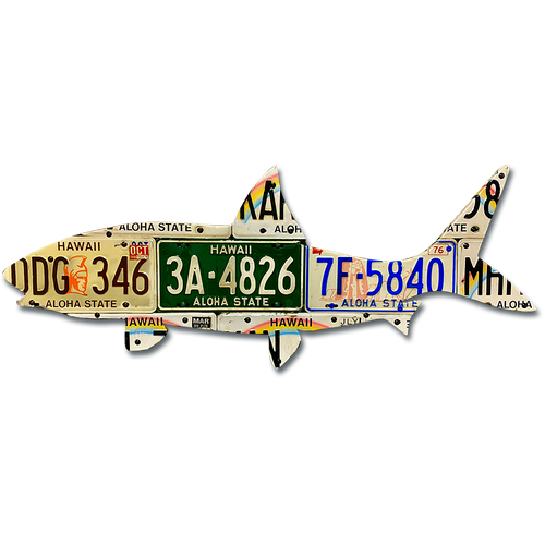 Hawaii Bonefish License Plate Art