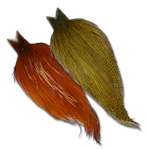 Whiting Farms Cock Necks