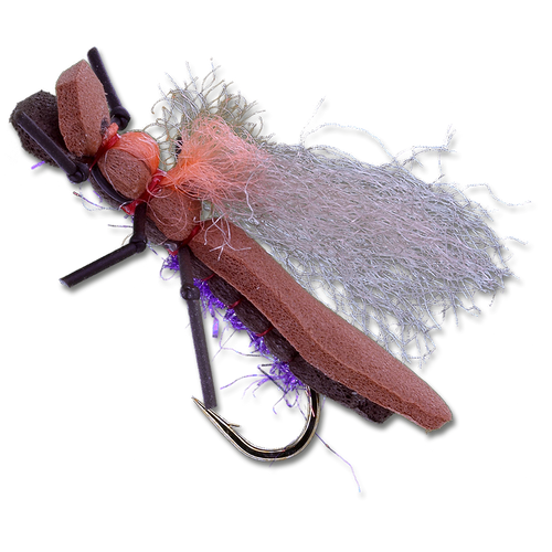 Bareback Rider - #8 Bareback Rider - #8