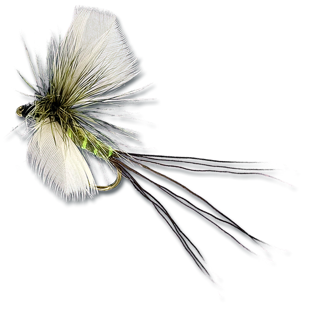 Mercer's Foam Dun Profile Green Drakes at The Fly Shop