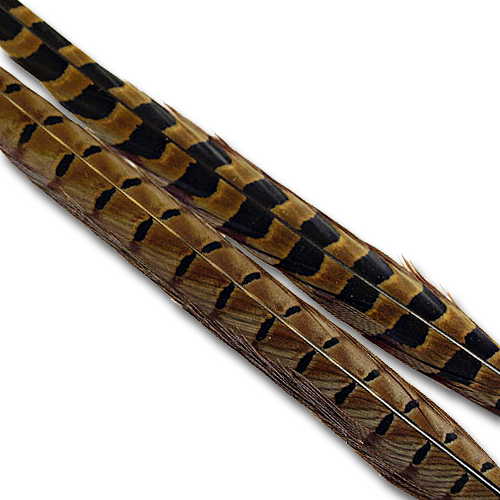 Fly Tying Feathers at The Fly Shop Page 2