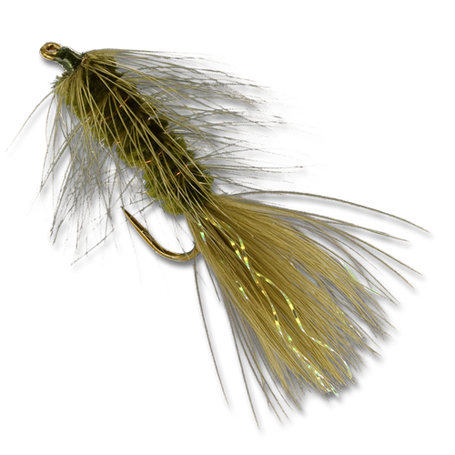 The Beginner's Guide to Saltwater Flats Fly Fishing - Wooly Buggin