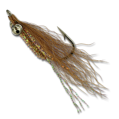 Crazy Charlie at The Fly Shop