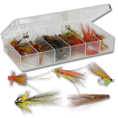 2 Fly Boxes With Salmon Flies