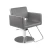 Gamma Bross U-Shape Styling Chair