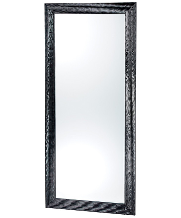Pibbs Wave 66" x 30" Salon Mirror