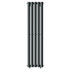 Bruges Vertical Anthracite Single Panel Radiator Front View