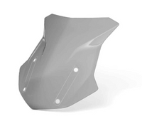 BMW Windscherm gekleurd 