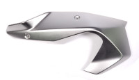 BMW R 1250 R/RS Motorspoiler edelstaal links en rechts BMW R 1250 R/RS Motorspoiler edelstaal links en rechts