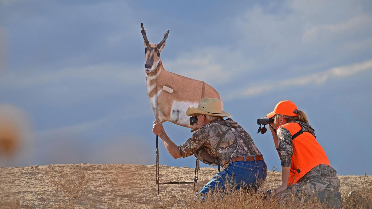 Montana Deer Co. Eichler Antelope w/ Quick Stand