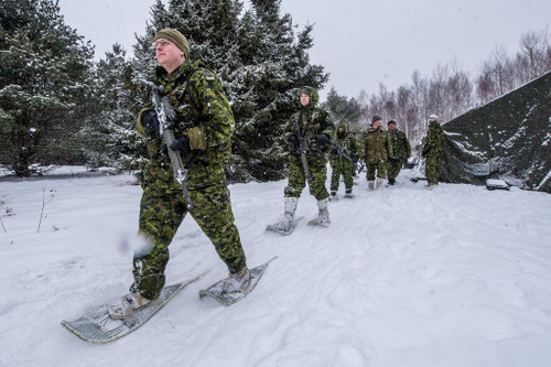 Canadian Armed Forces Magnesium Snowshoes W/Bindings 