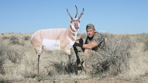 Montana Deer Co. Eichler Antelope w/ Quick Stand