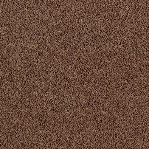 Karastan Lavish Affair - Tundra Carpet