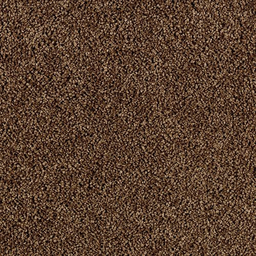 Karastan Simply Spectacular - Nutmeg Carpet