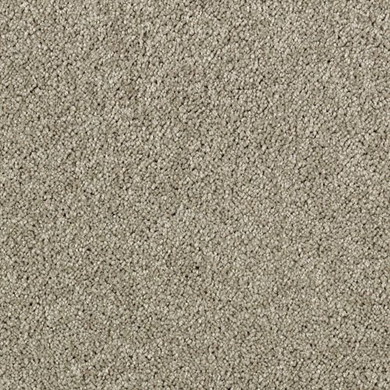 Karastan Delicate Finesse - Restoration Carpet