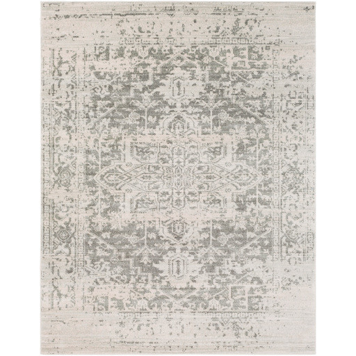 Surya Harput HAP1024 Area Rug Carpet & Tile Mart