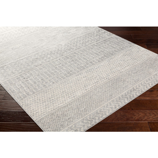 Surya Monaco MOC-2304 Area Rug - Carpet & Tile Mart