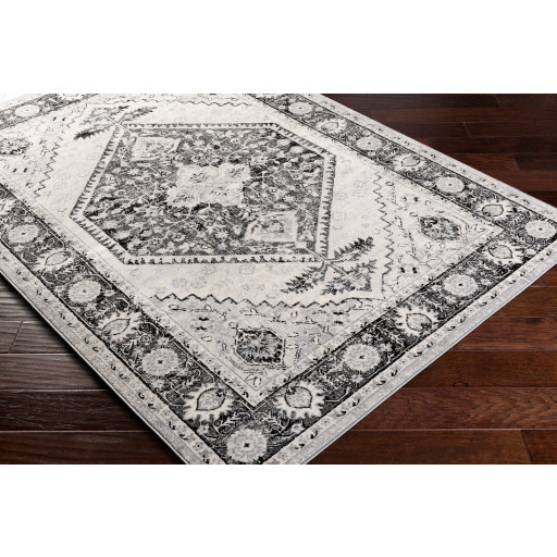 Surya Monaco MOC2329 Area Rug